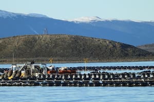 Sistema de bateas, boyas y longlines (cuerdas), característicos en la mitilicultura. Gentileza: Mónica Torres (Cadic-Conicet).