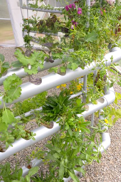 Sistema de cultivo que prescinde del suelo