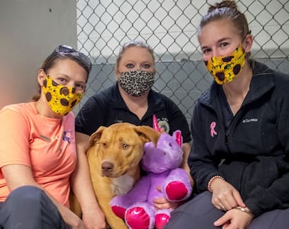 Sisu encontró una nueva familia que lo adoptó junto a su inseparable peluche al día siguiente