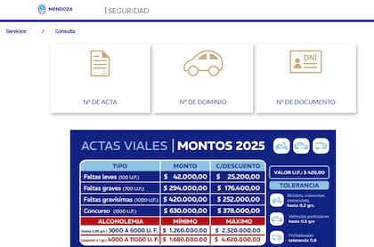 Sitio de consulta de infracciones de la provincia de Mendoza