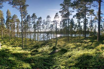 Småland.