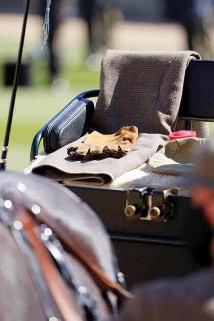 Sobre el asiento se colocó su boina, su fusta y sus
guantes