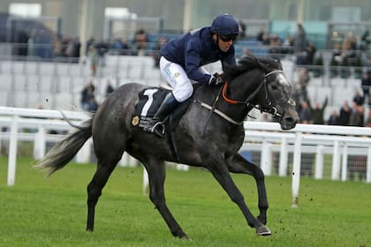 Sobre el tordillo Calder Prince, Michael Owen llegó segundo en una carrera benéfica en Ascot, en noviembre de 2017