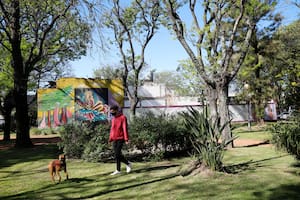 El proyecto que generó revuelo entre los vecinos de un barrio de casas bajas