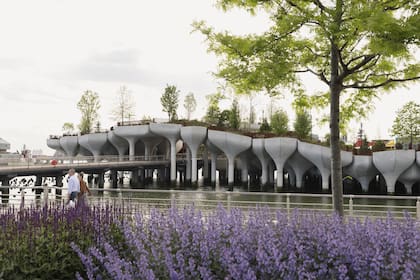 Sobre sustrato nuevo, se plantaron más de 66.000 bulbos de flores y 114 árboles, algunos de los cuales crecerán hasta 18 metros de altura