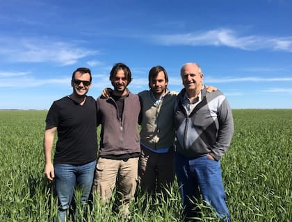 Sobre un lote de trigo, los Irastorza a pleno: Ramiro, Ignacio, Diego y Javier