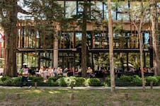 “Es igual a Cariló”: la zona con bosque propio en las afueras de la Ciudad que promete un boom inmobiliario