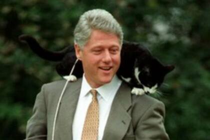 Socks, la mascota del ex presidente Bill Clinton acaparó la atención de la prensa