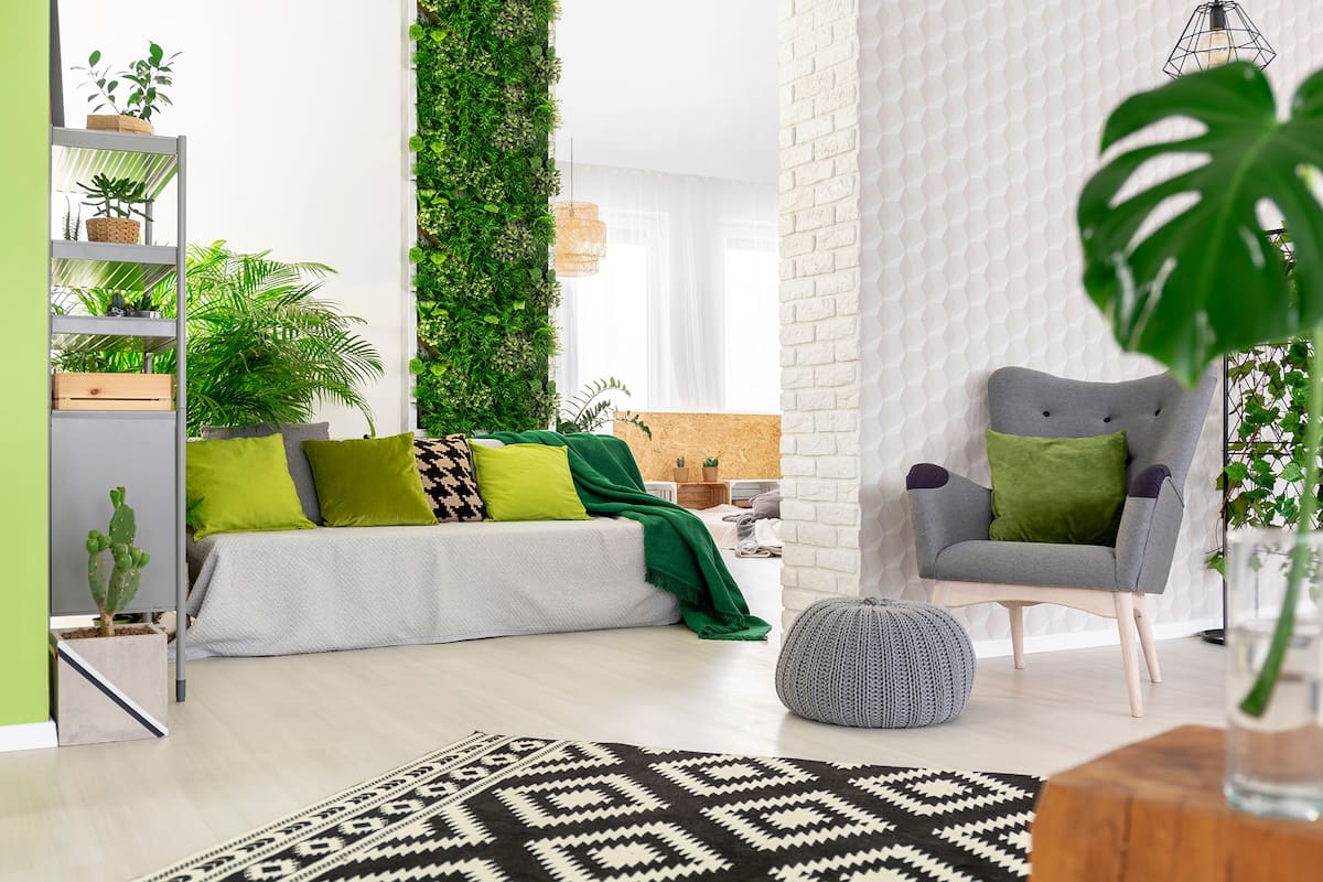 Home 8 sofa con almohadas verdes y manta de pie en el 2BCO2T24HFF7THDN5YKNGIZ7M4