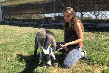 Sofía, la hermana mayor de Bianca, con una de los chivos que tienen de mascota