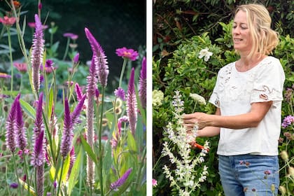Sol Lynch, creadora de Alma Jardinera (derecha) y Celosia spicata que cultiva en su jardín (izquierda)