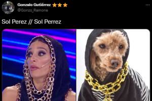 Sol Pérez sorprendió con su look en el debate de Gran Hermano y generó una ola de memes (Foto: Captura de Twitter)