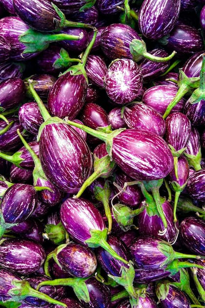 Solanum melongena ‘Patio Baby’ es una berenjena ornamental y comestible que no exige más que una maceta