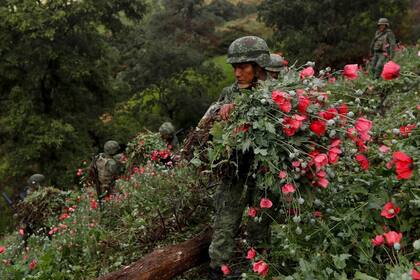 Soldados cortan amapolas de opio mientras destruyen un campo de plantaciones ilegales en la Sierra Madre del Sur