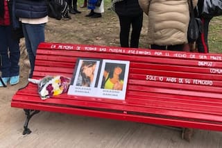 El asesinato de Soledad Bargna, veintiséis puñaladas a un sistema judicial que expuso sus errores