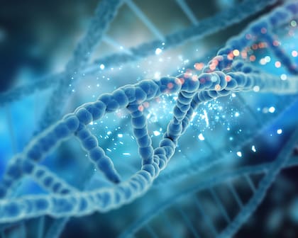 Solo 1500 personas en el mundo tienen diagnóstico confirmado; en Argentina, hay 21 registrados por la fundación CureSYNGAP1