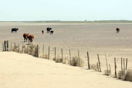 Sólo entre el 5 y el 9 por ciento del mercado tiene coberturas multirriesgo, que cubren sequías y eventos como inundaciones