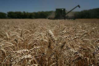 Productividad e impacto ambiental: el gran desafío para el agro