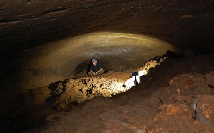 Solo los perezosos gigantes podían construir estas cuevas con sus enormes garras (Foto: Earth Touch News)