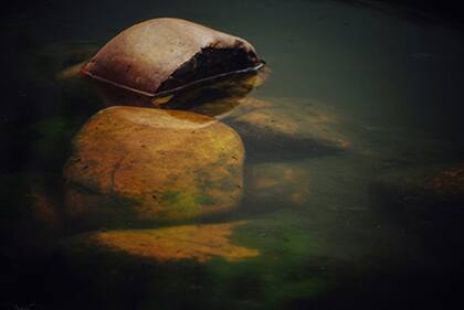 "Solo sé extraer poesía de la piedra", es el primer verso del poema de Santiago Kovadloff que acompaña la foto de su hermano