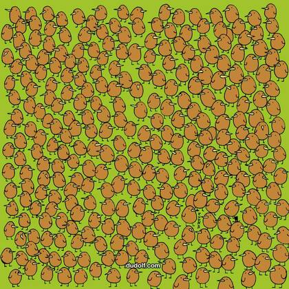 Solo tendrás 20 segundos para encontrar los cuatro kiwis.