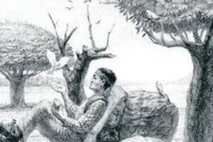 Solo un 5% de las personas puede dar con el caballo en solo 10 segundos.