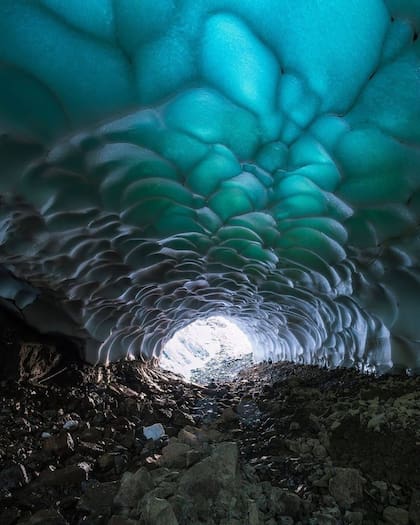 Solo visibles en verano, entre enero y febrero