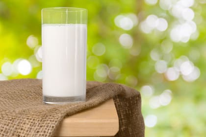 Soluciones muy diluidas de leche descremada pulverizadas sobre las hojas podrían prevenir hongos