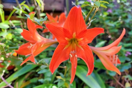 Son 14 las jurisdicciones que pueden sufrir temperaturas más cálidas