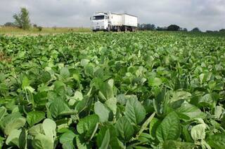 Buenos Aires, Córdoba y Santa Fe, las más afectadas por el ajuste