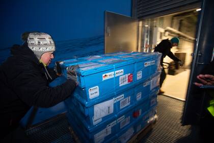 Son muy pocas las personas autorizadas a entrar a la bóveda de semillas.