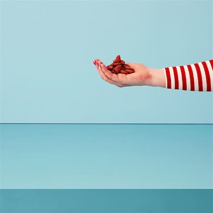 Son una alternativa a la proteína animal