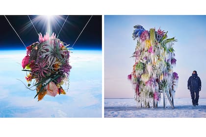 "Soñar es el primer paso: sin ese gesto valiente e importante, ninguna de sus increíbles creaciones existiría", asegura Irina sobre el trabajo de Azuma.