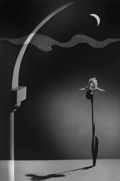 Sonata (Cesar Frank), fotografía de Pedro Otero