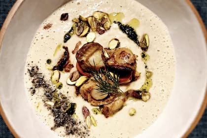 Sopa de hinojo de Sal