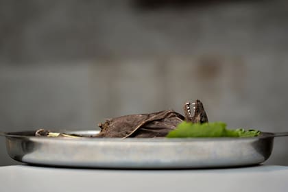 Un plato de sopa de murciélago, ¿alguien se anima?