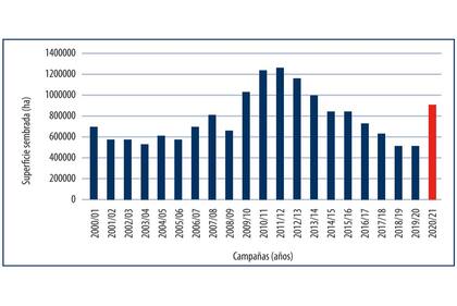 Evolución de la superficie