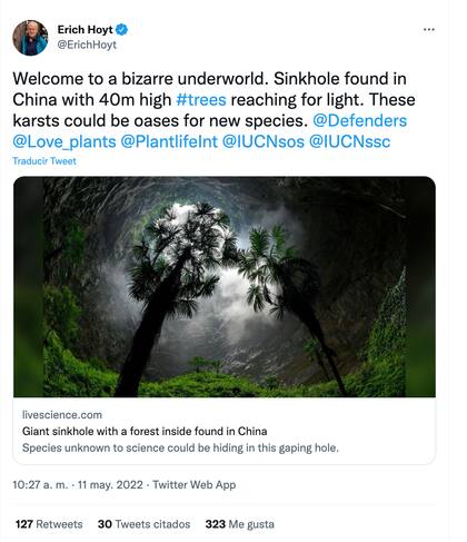 Sorprende hallazgo de "mundo subterráneo" en China.