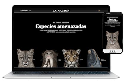 S.O.S Animales Argentinos se alzó con dos premios en el encuentro de WAN IFRA