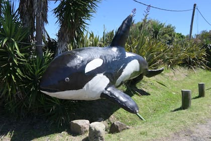 SOS Rescate Fauna Marina ocupa un terreno de 3.000 metros Foto: Ricardo Figueredo.