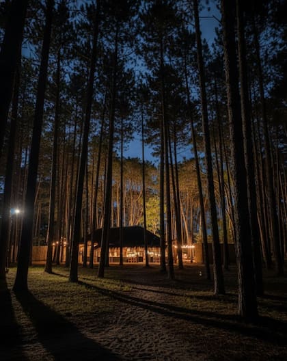 Soto Bosque celebra pescados y mariscos a las brasas en un entorno natural