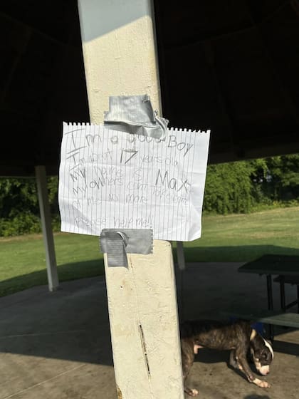 “Soy un buen chico. Tengo unos 17 años. Mi nombre es Max. Mi familia ya no puede cuidar de mí. ¡Por favor, ayúdenme!”, decía la nota que acompañaba a Max.