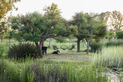 “Soy un fanático de las plantas en general y lo que más me atrapa es entender las estrategias de las especies para adaptarse al ambiente. En eso las suculentas son campeonas", comenta Ojeda.