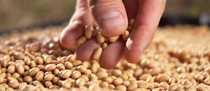 Sin propiedad intelectual no hay innovación y sin innovación no hay desarrollo