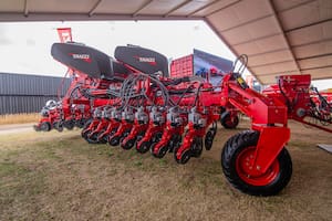 Tanzi busca redefinir la siembra de granos gruesos