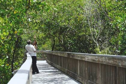 St. Petersburg, en la Bahía de Tampa, es la ciudad mejor posicionada de Florida en el ránking nacional