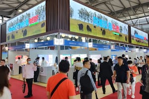 Un riesgo latente: exportaciones de carne bajo cuota administrada