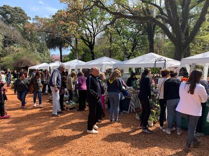 Stands con distintas especies de plantas y objetos relacionados con la jardinería
