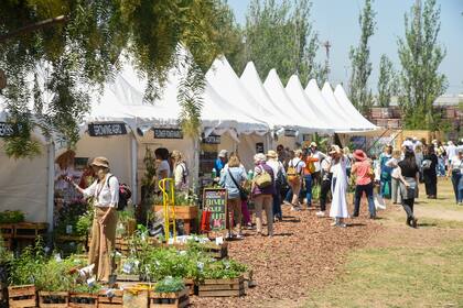 Stands de productos y viveros para seguir aprendiendo