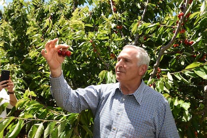 Stanley destacó que "han logrado producir frutos deliciosos en condiciones extremas”.